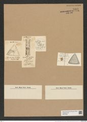 Triceratium radiatum Brightw. (de-Toni-Nr.: Genus 140, Species 3908) Zeichnungen Sammlung Grunow Nr. 7391 (NHMW-BOT-W0376462)